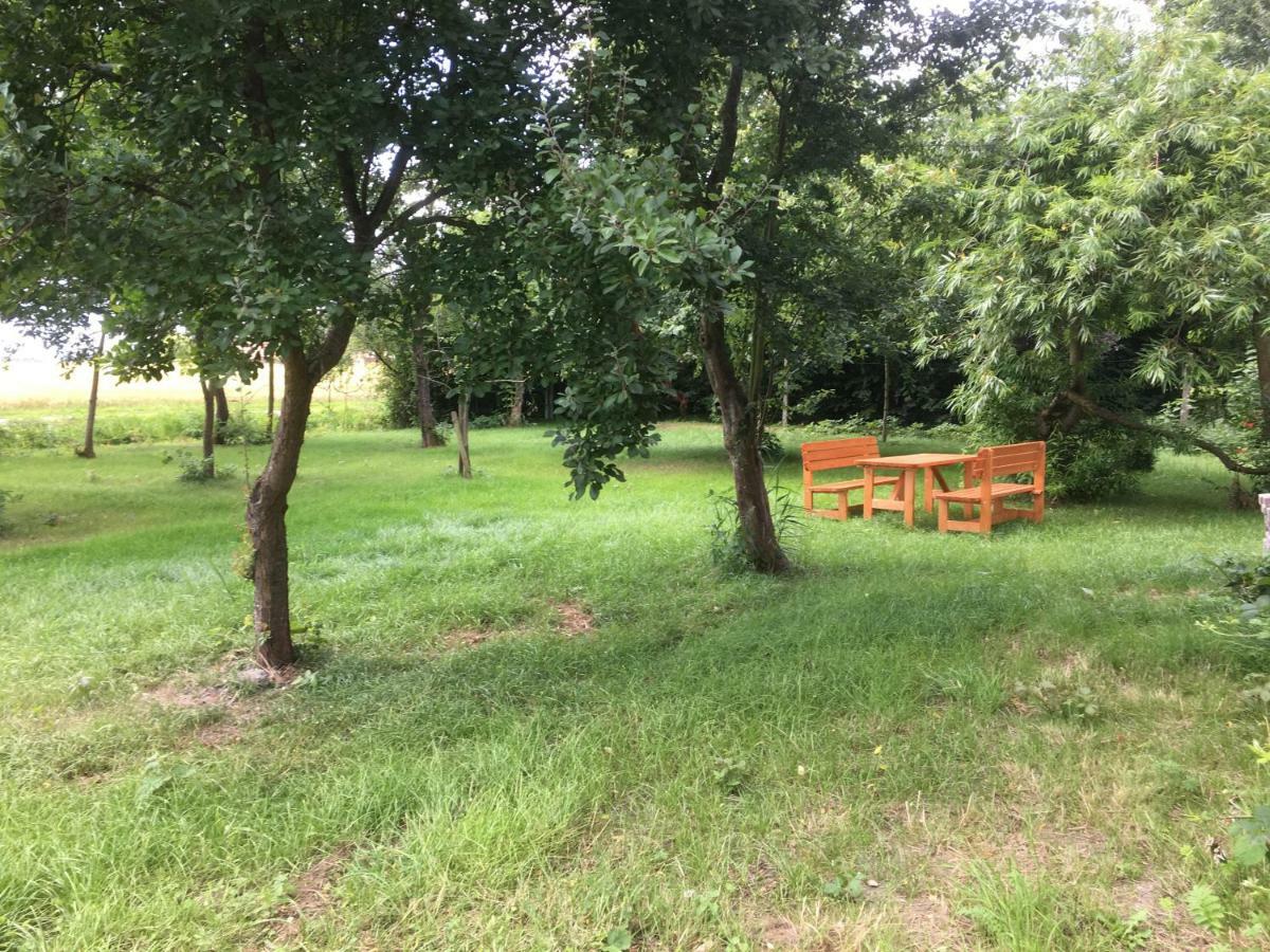 Appartement Marijanas Ferienhof 2, Urlaub Mit Viel Platz Zwischen Dornumersiel Und Bensersiel, Gehoert Zum Cafe Kunterbunt à Holtgast Extérieur photo